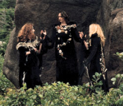 The Witches