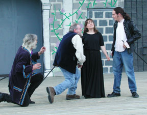 Sir Andrew, Sir Toby, Maria, Fabian