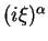 $ (i\xi)^\alpha$